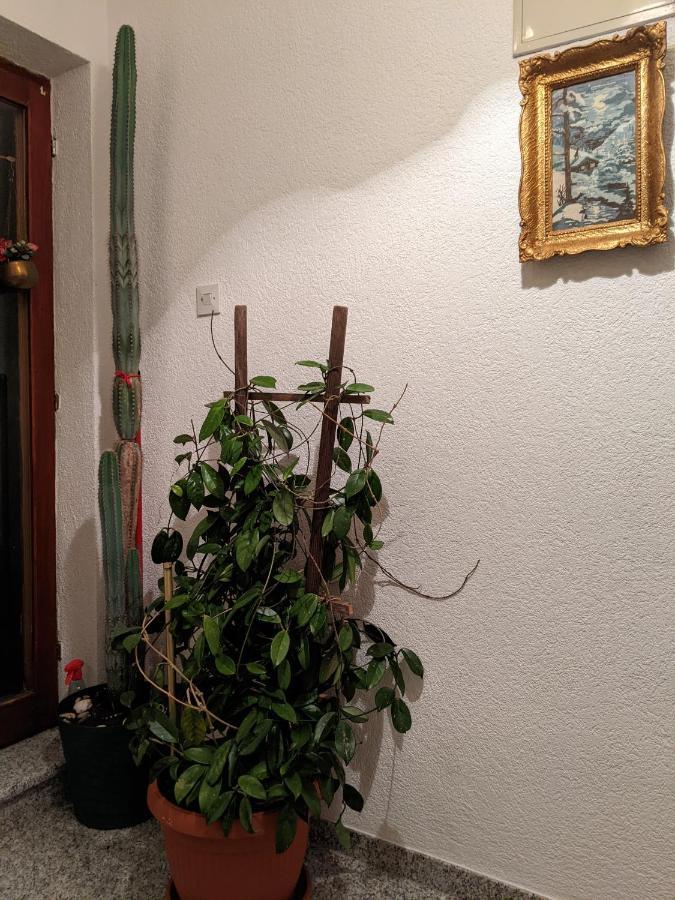 Hrastik Apartment